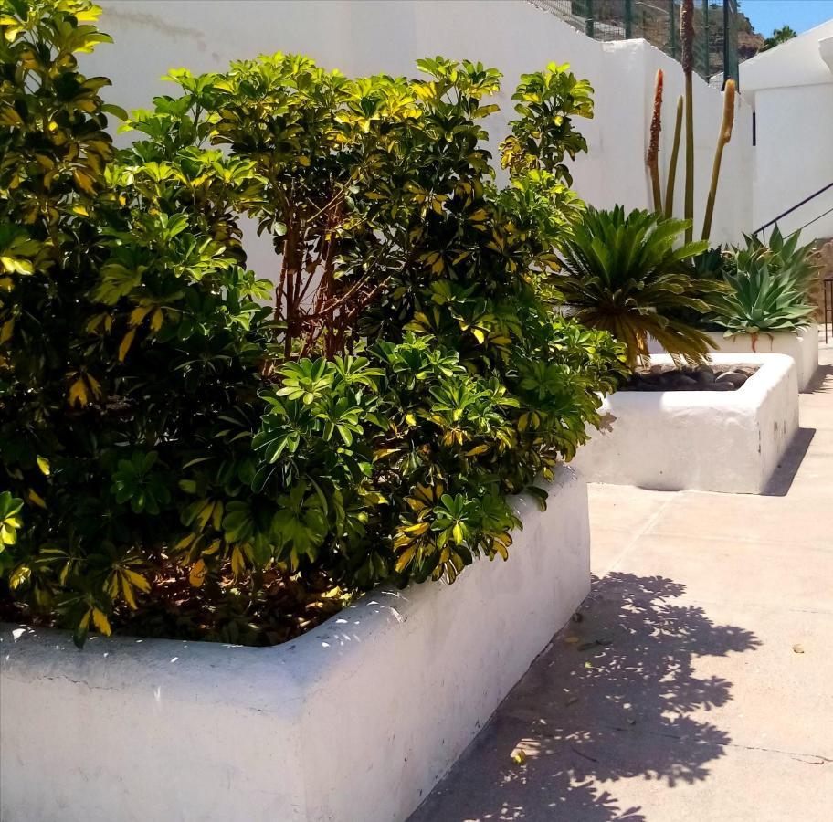 Sunny Days On Gran Canaria Porto Rico