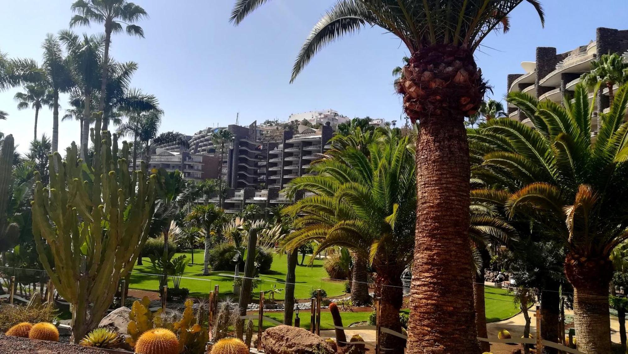 Sunny Days On Gran Canaria * Porto Rico